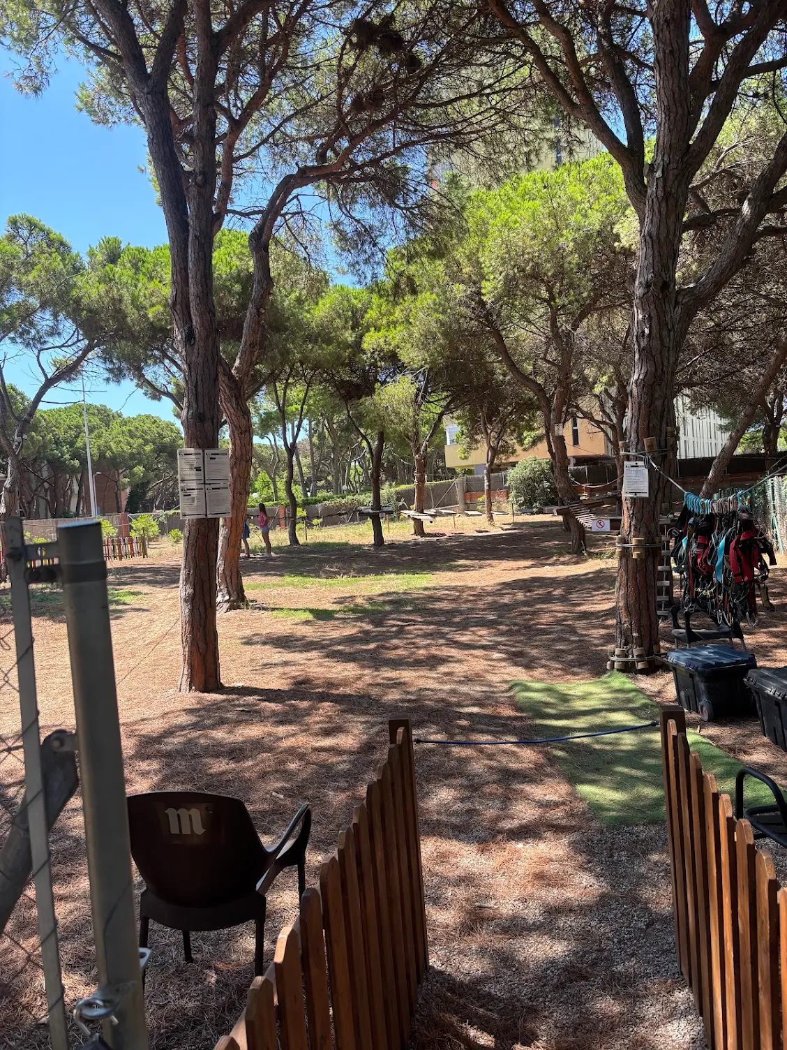 Parque infantil entre pinos